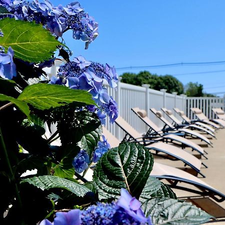 Sea View Motel 오겅키트 외부 사진